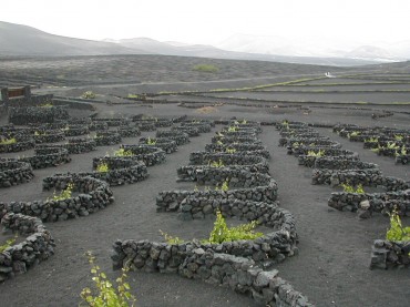 Gastronomia di Lanzarote