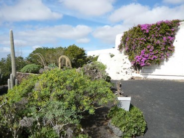 Museo dell'Agricoltura Lanzarote