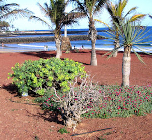 Vacanze Lanzarote
