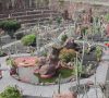 jardin de cactus manrique