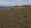 playa el cable