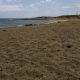 playa el cable