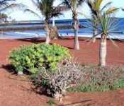 vacanze-lanzarote
