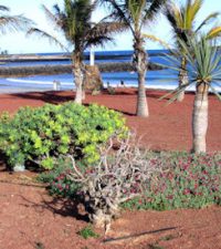 vacanze-lanzarote